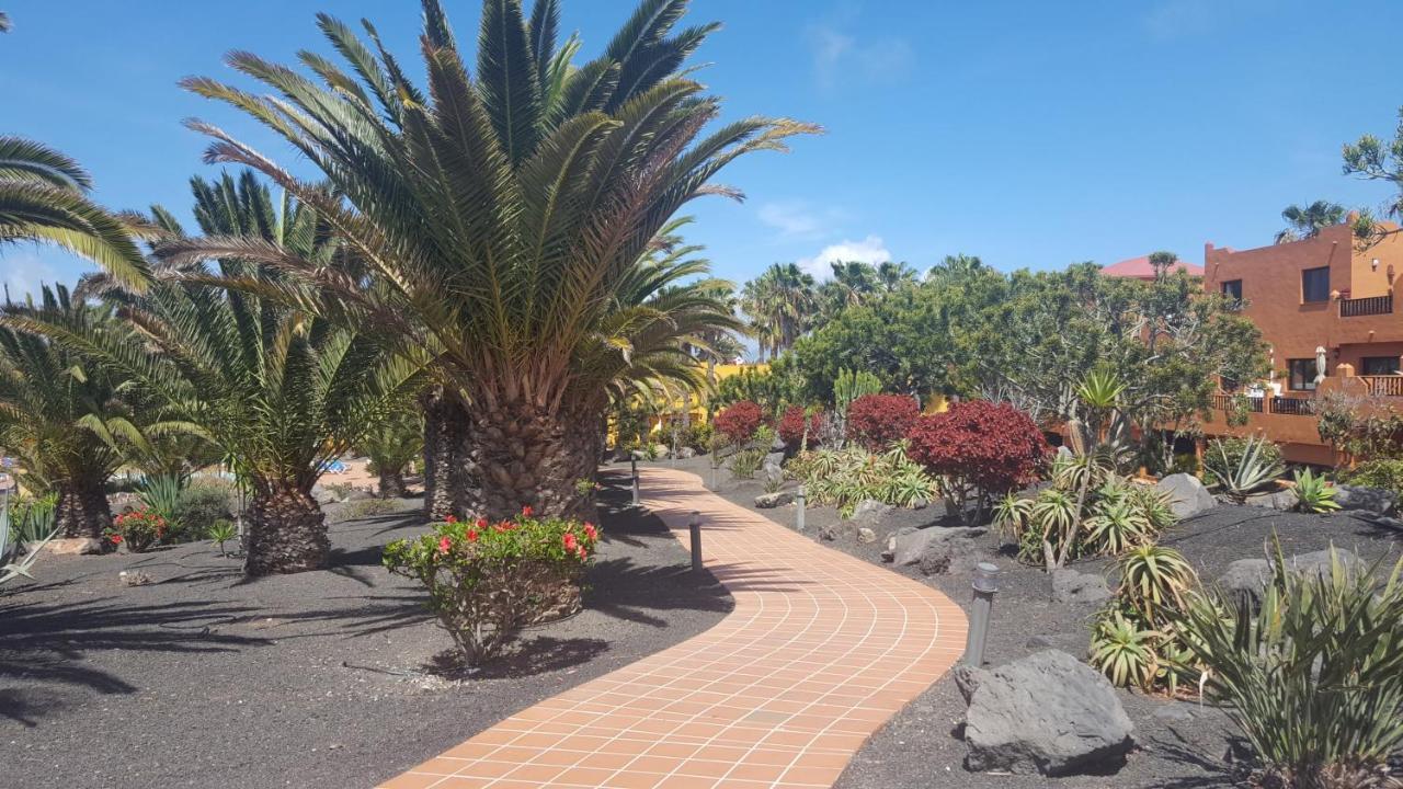 Oasis Royal 3 Piscinas Apartment Corralejo Bagian luar foto