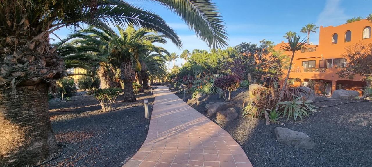 Oasis Royal 3 Piscinas Apartment Corralejo Bagian luar foto